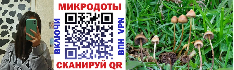 нарко площадка телеграм  Мамоново  Галлюциногенные грибы Magic Shrooms 